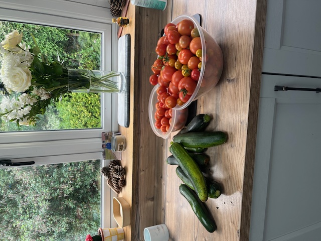 Growing food for people in food pobverty